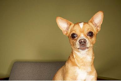 横向清版动作游戏《不朽猎手》现已推出抢先体验版